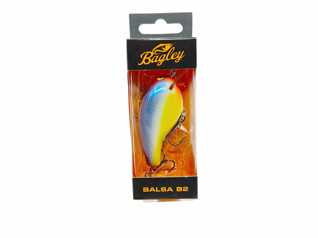Bagley Balsa B2 - BB2-BBG Bone Belly Gill New in Box - Custom Color