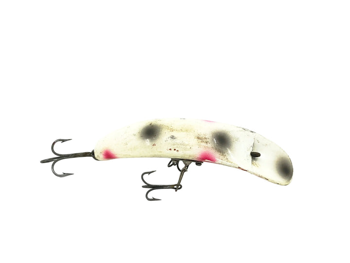 Paw Paw Flapjack, White/Dots Color