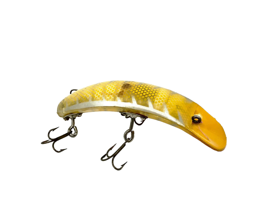 Paw Paw Flapjack, Yellow Shore Color