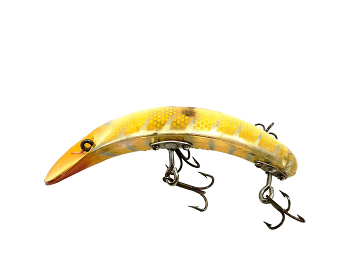 Paw Paw Flapjack, Yellow Shore Color