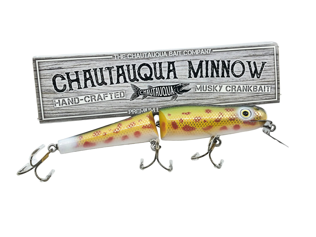 Jointed Chautauqua 8" Jointed Shallow Diver, Rainbow Chub Color w/Box - Older Chautauqua!