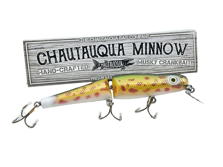 Jointed Chautauqua 8" Jointed Shallow Diver, Rainbow Chub Color w/Box - Older Chautauqua!