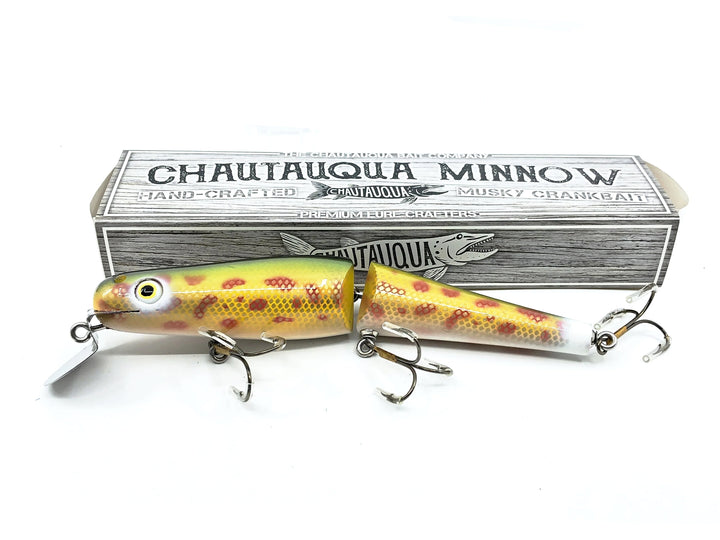 Jointed Chautauqua 8" Jointed Shallow Diver, Rainbow Chub Color w/Box - Older Chautauqua!