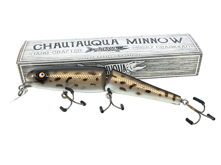 Jointed Chautauqua 8" Shallow Diver, Spotted Hogsucker Color w/Box