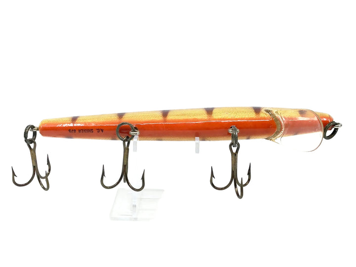 A.C Shiner 675, Brown/Gold Perch Color