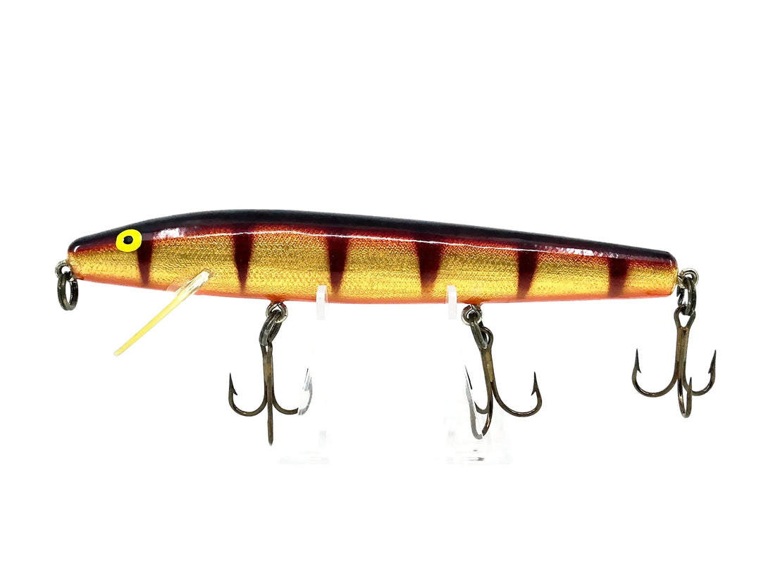 A.C Shiner 675, Brown/Gold Perch Color
