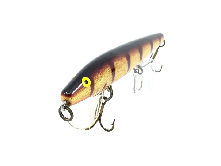 A.C Shiner 675, Brown/Gold Perch Color