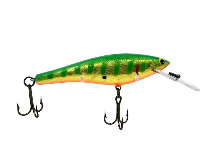 Bagley DBO6, S6GOB Green Striped on Gold/Orange Belly Color