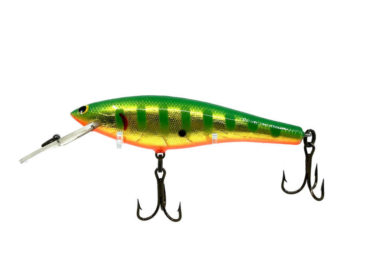 Bagley DBO6, S6GOB Green Striped on Gold/Orange Belly Color
