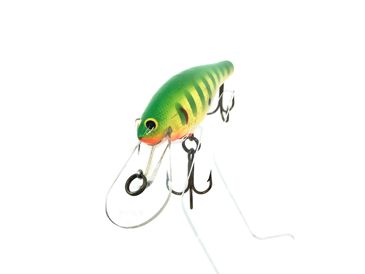 Bagley DBO6, S6GOB Green Striped on Gold/Orange Belly Color