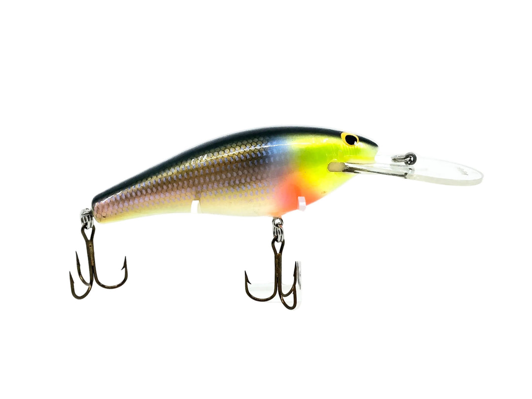 Bagley Diving DB04-BR4 Bluegill/White Belly Color