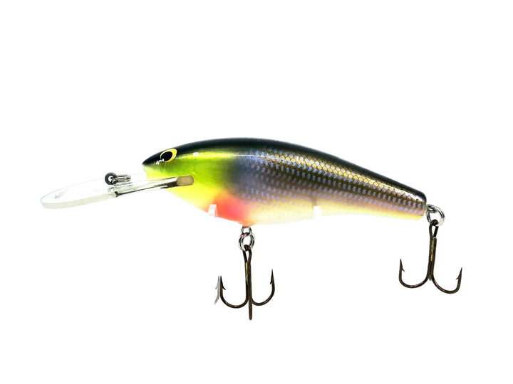 Bagley Diving DB04-BR4 Bluegill/White Belly Color