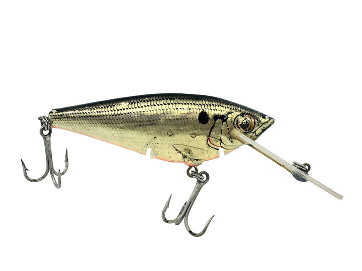 Bagley Monster Shad MSD-SHG Shad on Gold Color