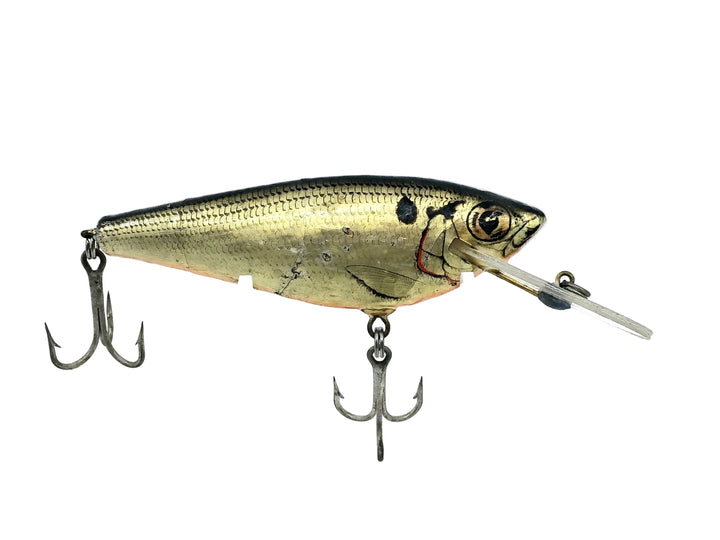 Bagley Monster Shad MSD-SHG Shad on Gold Color
