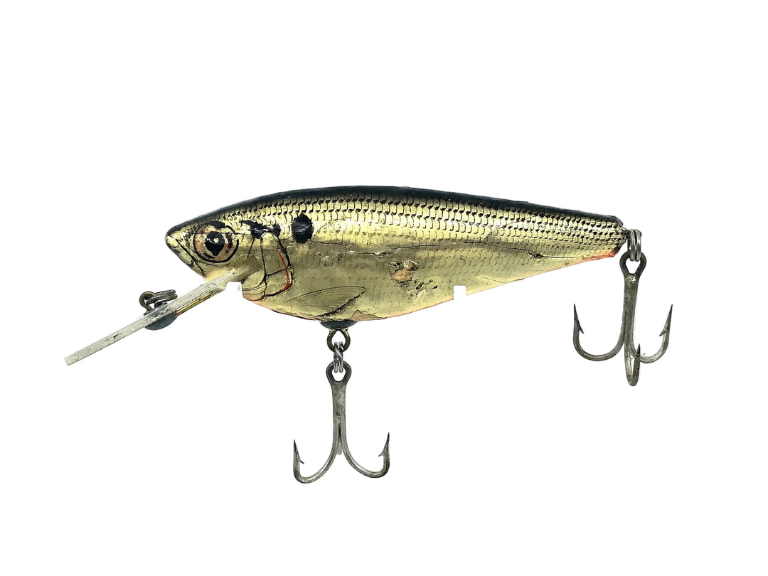 Bagley Monster Shad MSD-SHG Shad on Gold Color