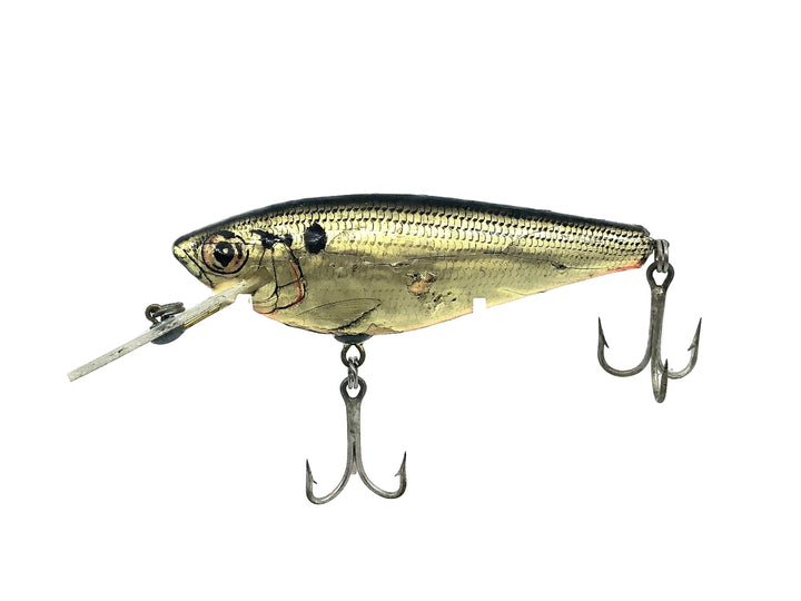 Bagley Monster Shad MSD-SHG Shad on Gold Color