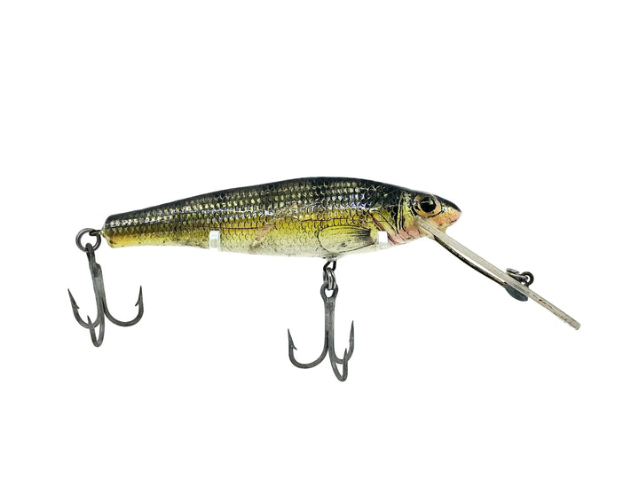 Bagley Deep Diving Small Fry Perch P4, Perch on White Color