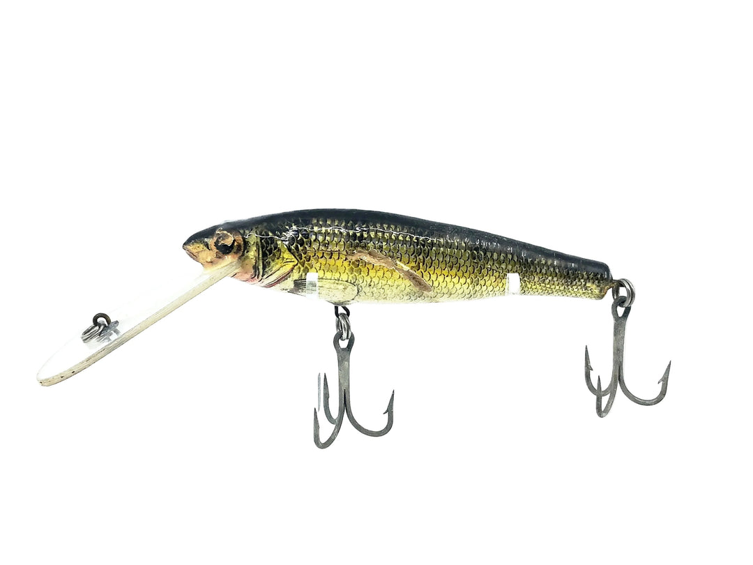 Bagley Deep Diving Small Fry Perch P4, Perch on White Color