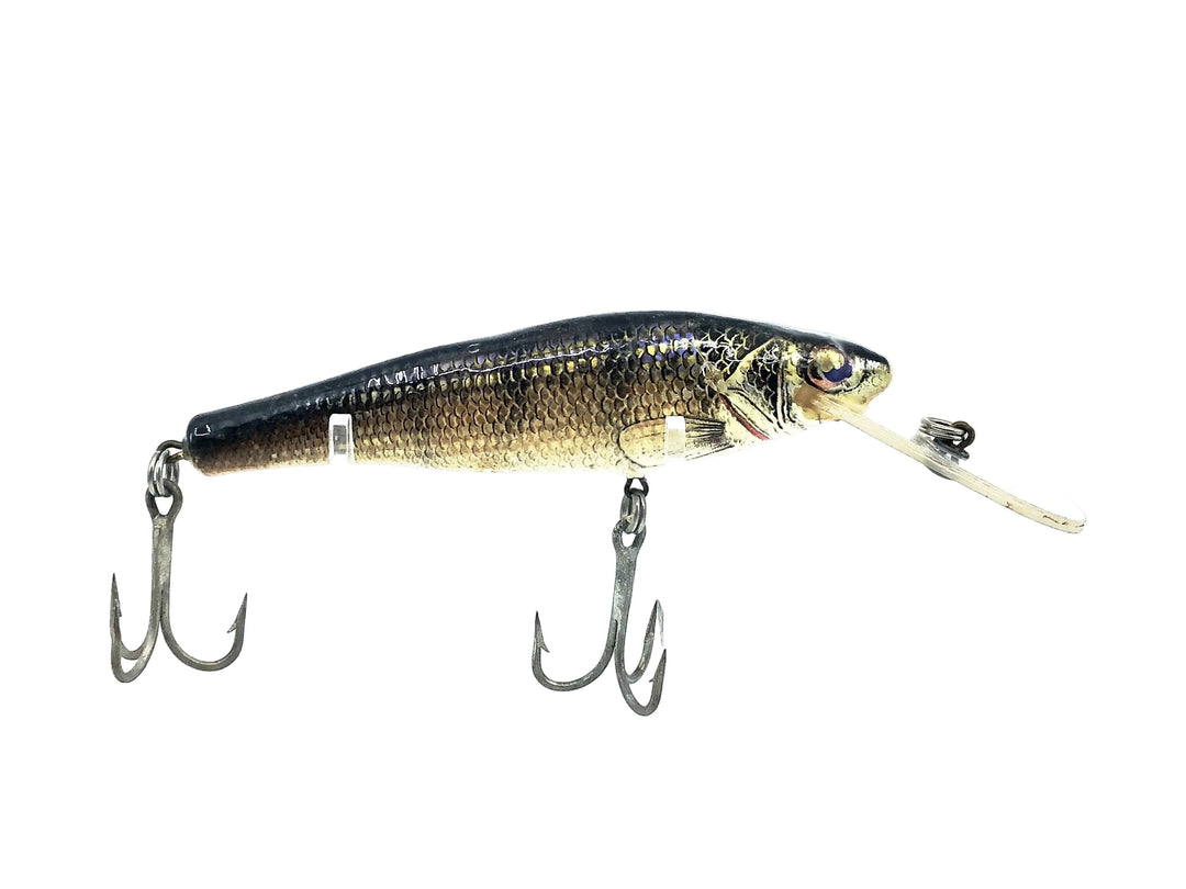Bagley Diving Small Fry Perch P4, Perch on White Color