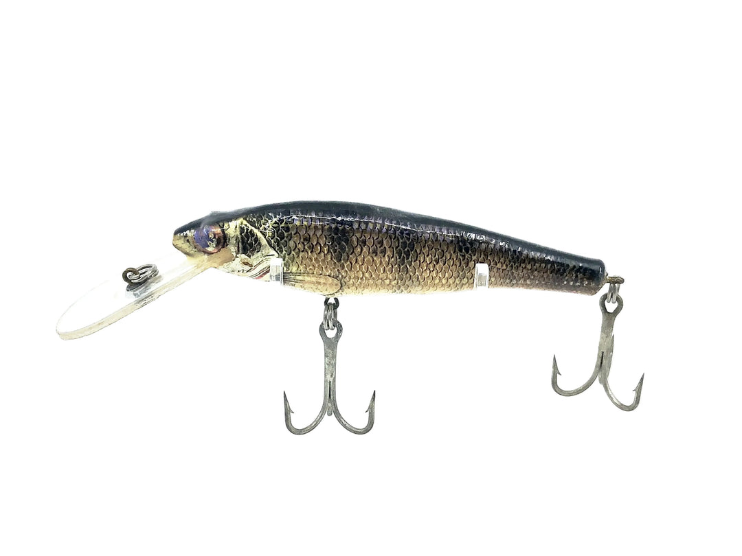 Bagley Diving Small Fry Perch P4, Perch on White Color