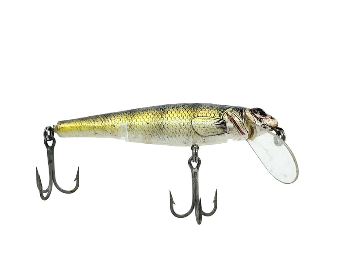 Bagley Small Fry Perch P4, Perch on White Color