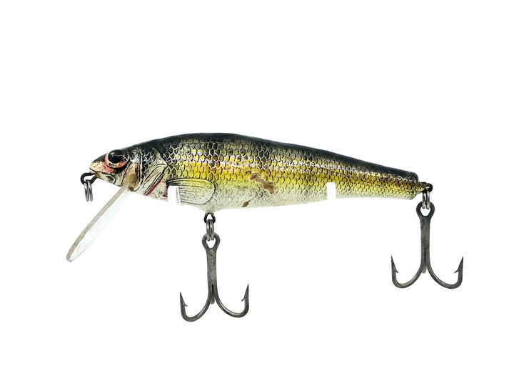 Bagley Small Fry Perch P4, Perch on White Color