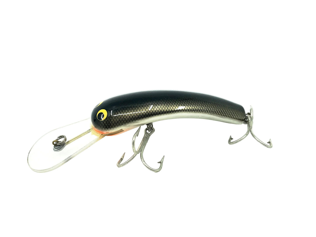Bagley Smoo #5 TS, Tennessee Shad Color