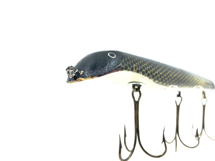 9" Suick Non-Weighted-Thriller, Wild Sucker Color