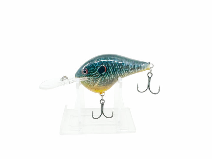 Rapala Deep DT Series, PSL Live Pumpkinseed Color