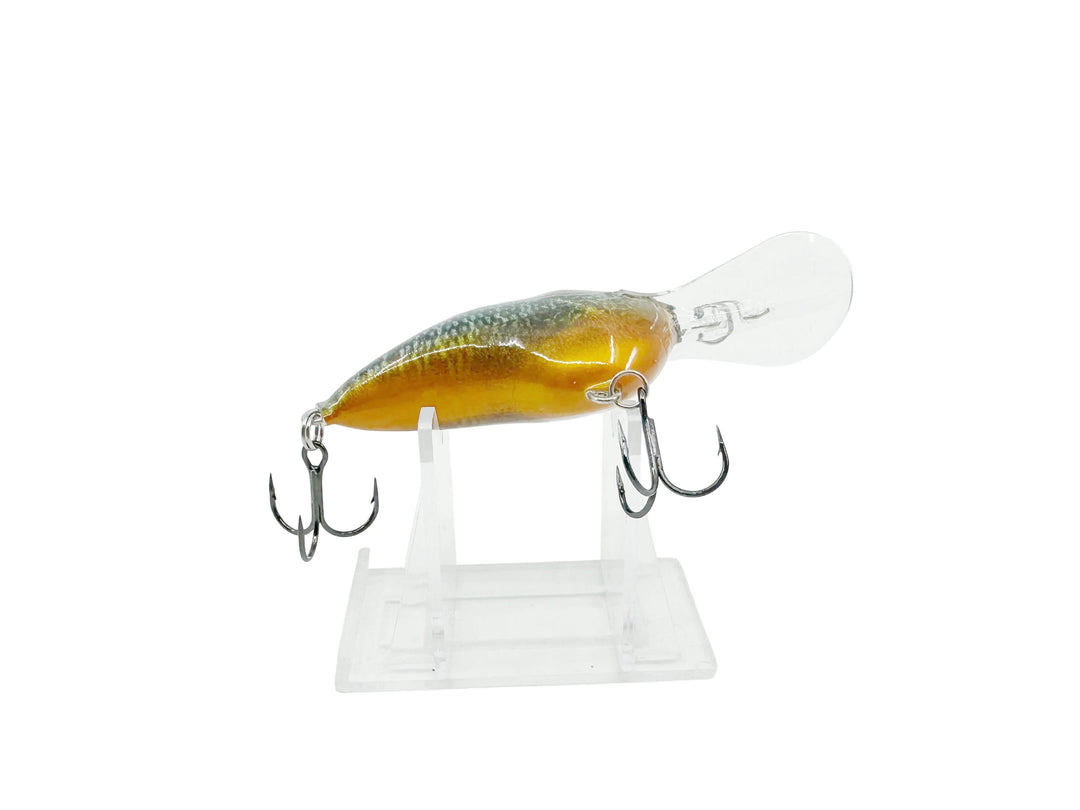 Rapala Deep DT Series, PSL Live Pumpkinseed Color