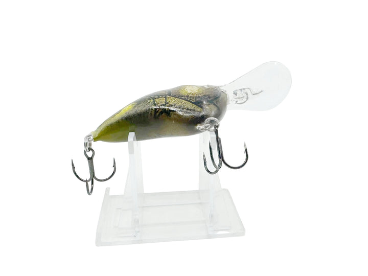 Rapala Deep DT Series, PSL Live Pumpkinseed Color