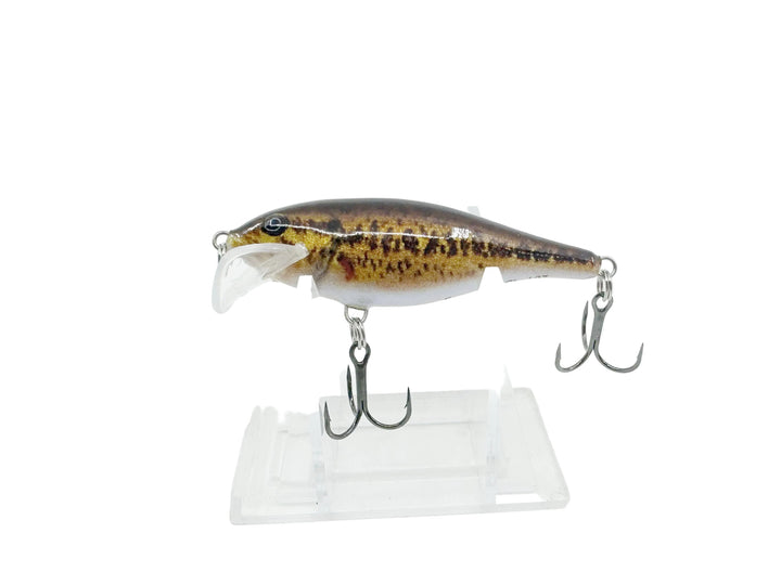 Rapala Scatter Rap Shad SCRS-7, Live Smallmouth Bass Color