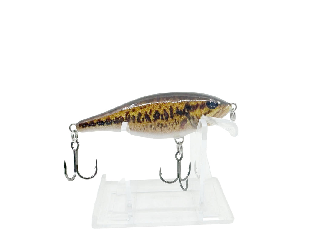Rapala Scatter Rap Shad SCRS-7, Live Smallmouth Bass Color