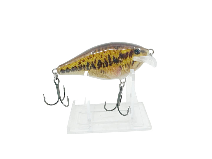 Rapala Scatter Rap SCRC-7, SBL LIVE SMALLMOUTH BASS