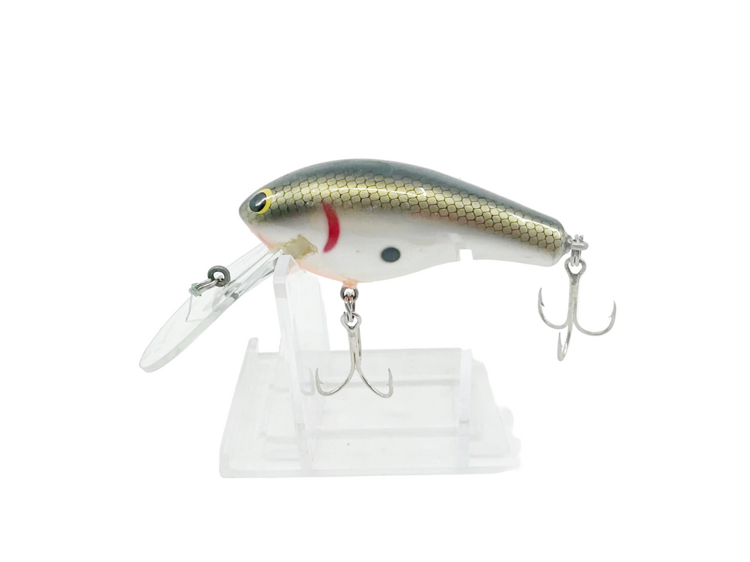 Bagley Deep Diving Killer Balsa 2 DDKB2-TS, Tennessee Shad Color