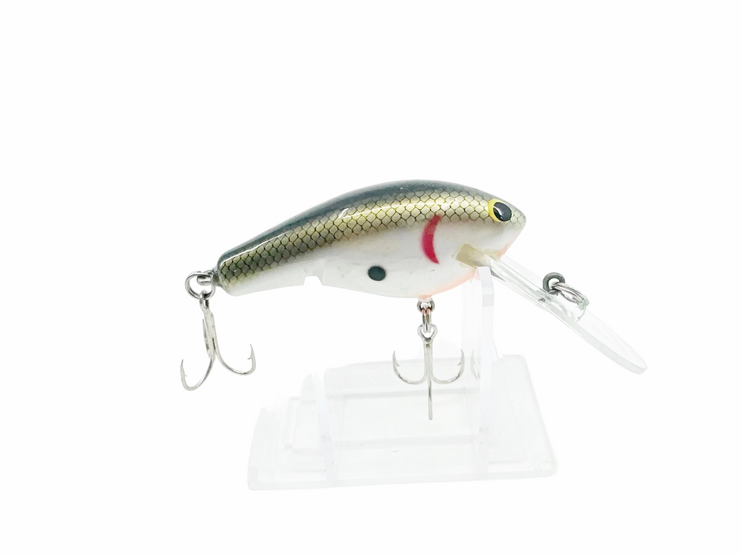 Bagley Deep Diving Killer Balsa 2 DDKB2-TS, Tennessee Shad Color