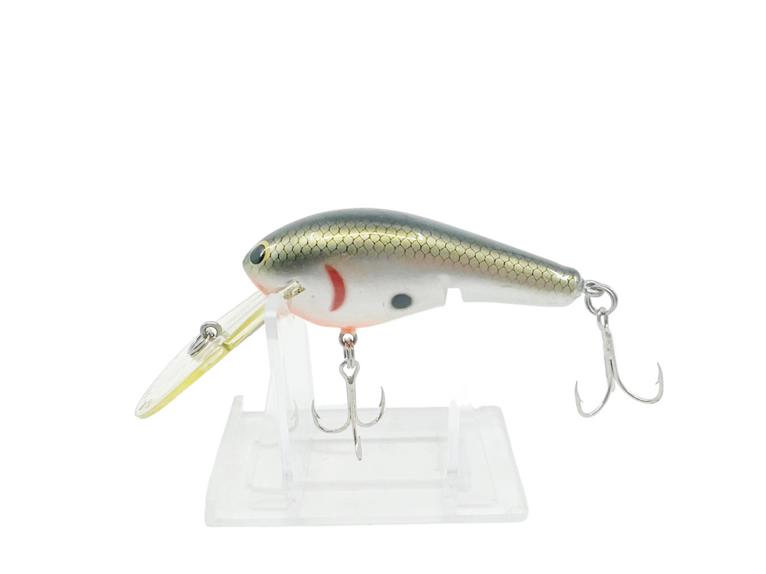 Bagley Deep Diving Killer Balsa 2 DDKB2-TS, Tennessee Shad Color