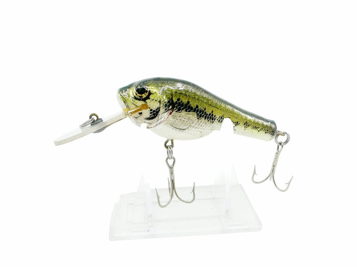 Bagley Small Fry Baby Bass 1DSF2, LB4 Little Bass on White Color