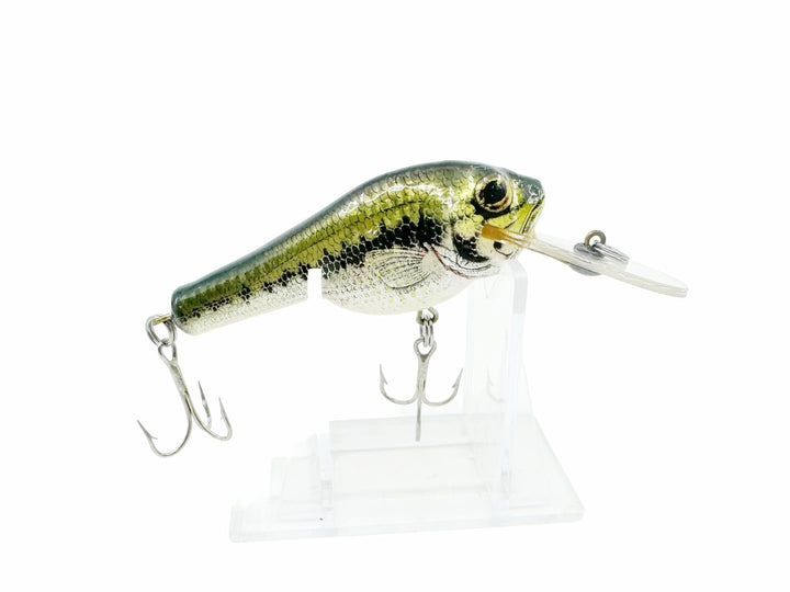 Bagley Small Fry Baby Bass 1DSF2, LB4 Little Bass on White Color