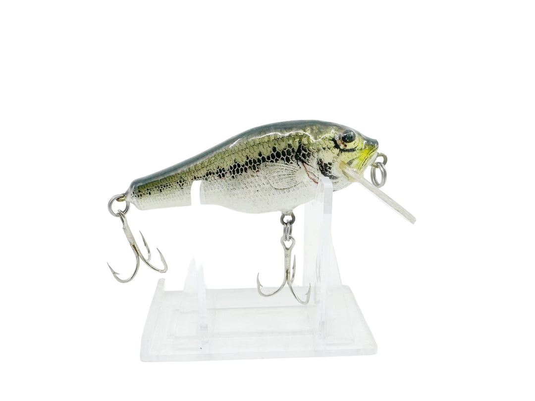 Bagley Small Fry Baby Bass - Vintage Bait - LB4 Little Bass on White Color