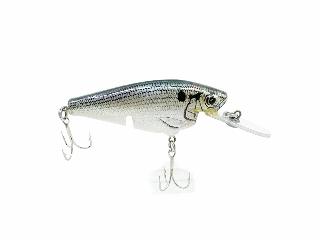 Bagley Small 4DSF3 Small Fry Shad, SH4 Shad on White Color