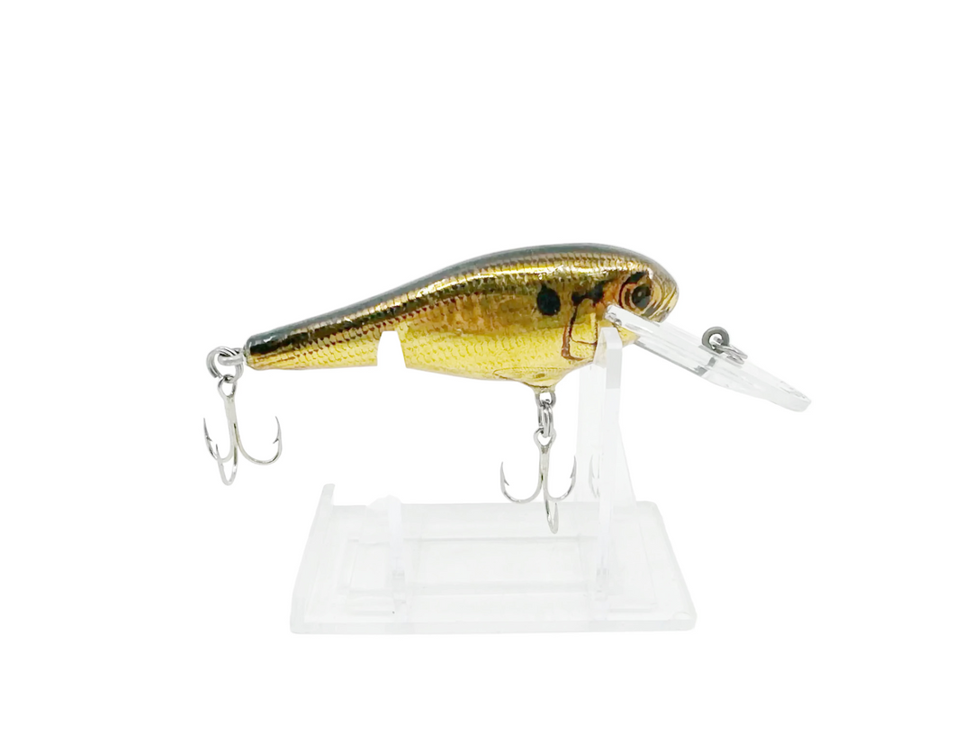 Bagley Small Fry Shad - Vintage Bait - Shad on Gold Color