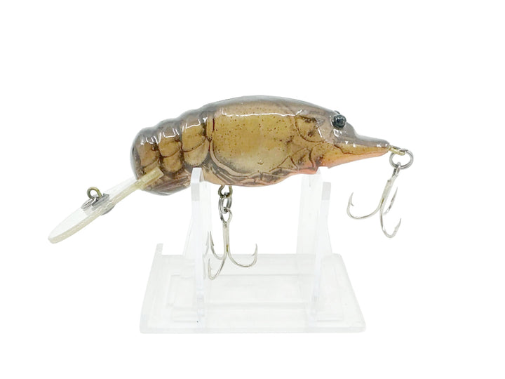 Bagley Crayfish, Crayfish Color
