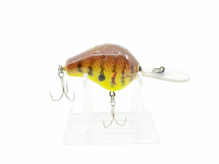 Bagley Diving B1 DB1, DC9 Dark Crayfish on Chartreuse Color