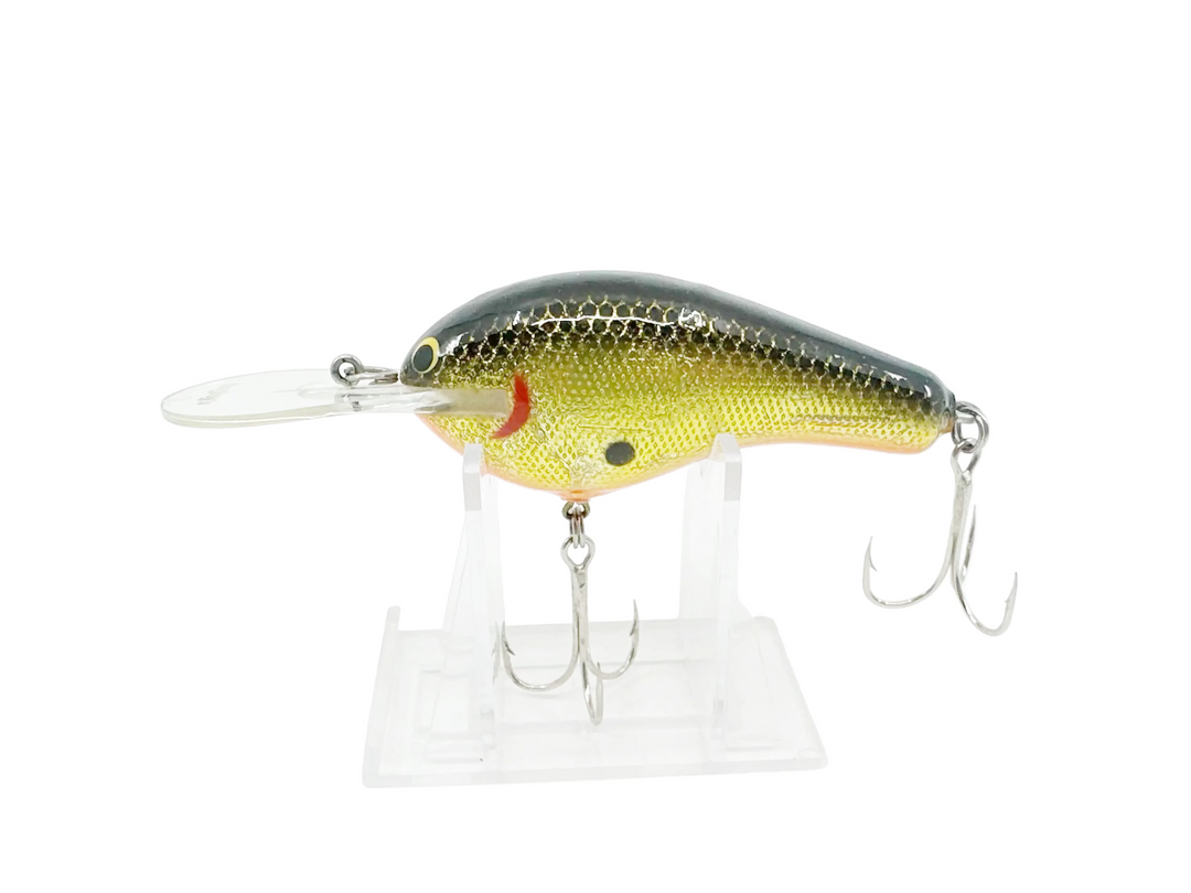 Bagley Diving B3 DB3, BGOB Black on Gold Foil/ Orange Belly
