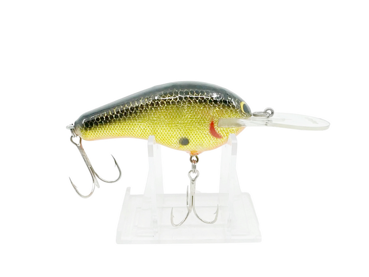 Bagley Diving B3 DB3, BGOB Black on Gold Foil/ Orange Belly