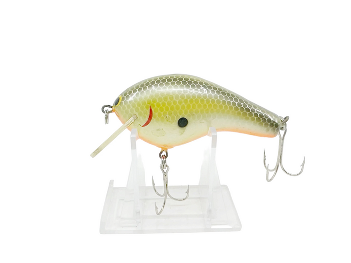 Bagley Killer B3 KB3, #09 Black on Chartreuse Color