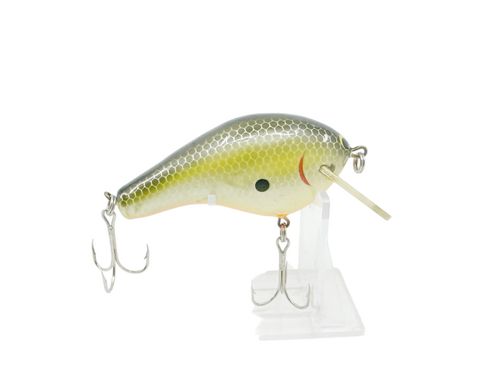 Bagley Killer B3 KB3, #09 Black on Chartreuse Color
