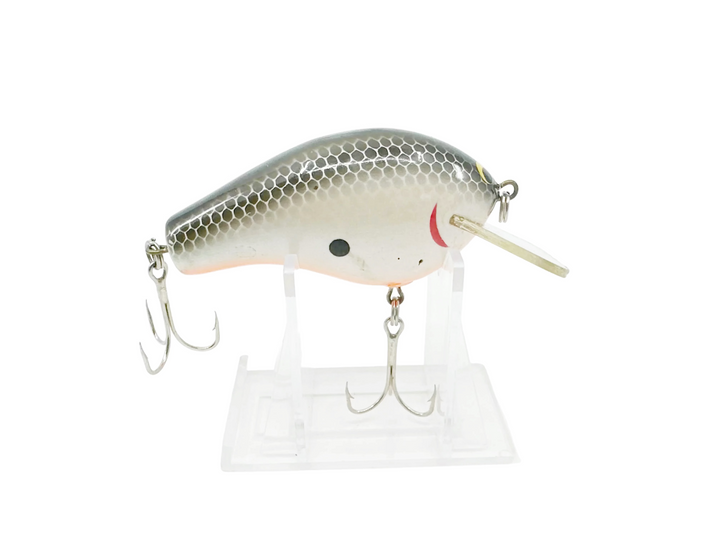 Bagley Killer B3 KB3, TS Tennessee Shad Color