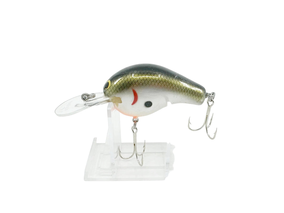 Bagley Diving B2 DB2 - Shad Color